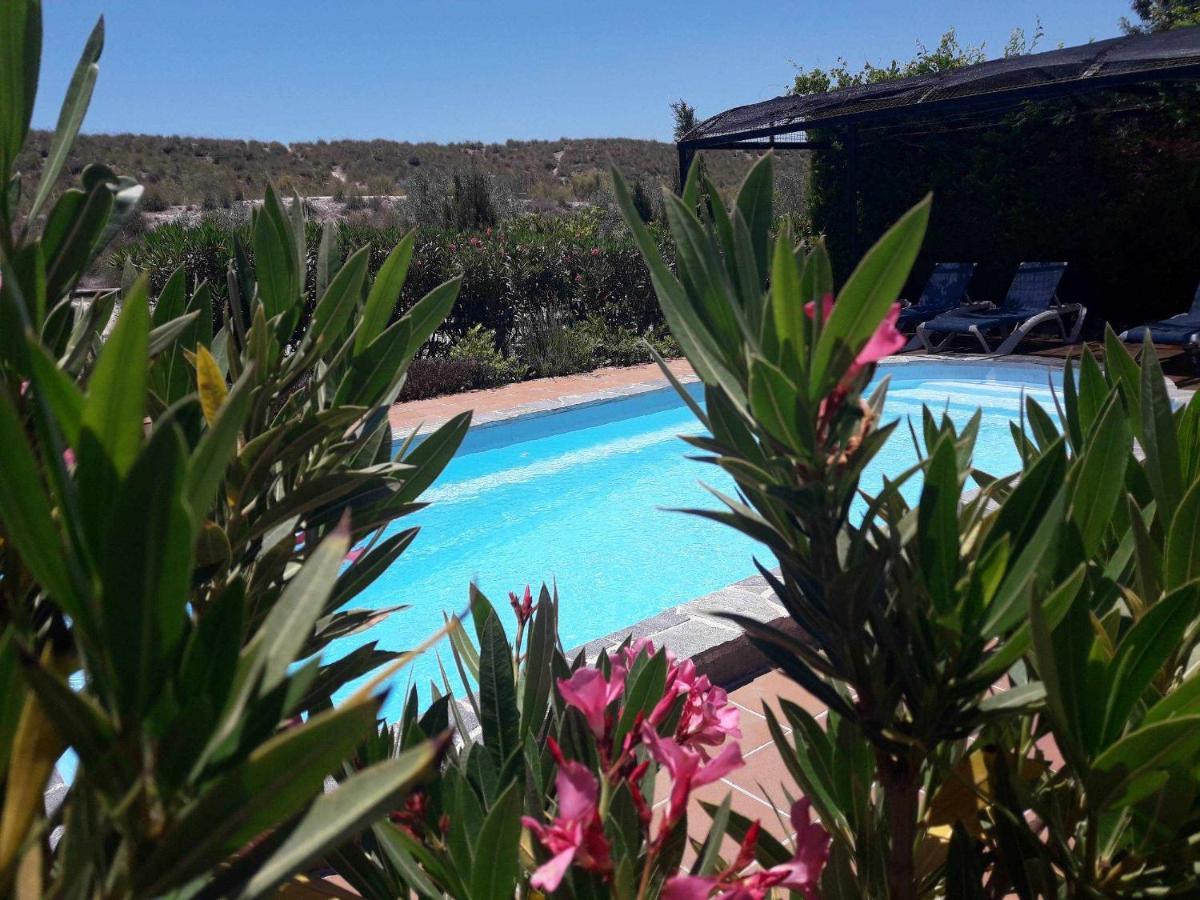 Cuevas Andalucia Konuk evi Baza Dış mekan fotoğraf